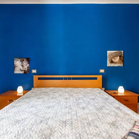 L Oasi Della Gatta Panciona Villasimius